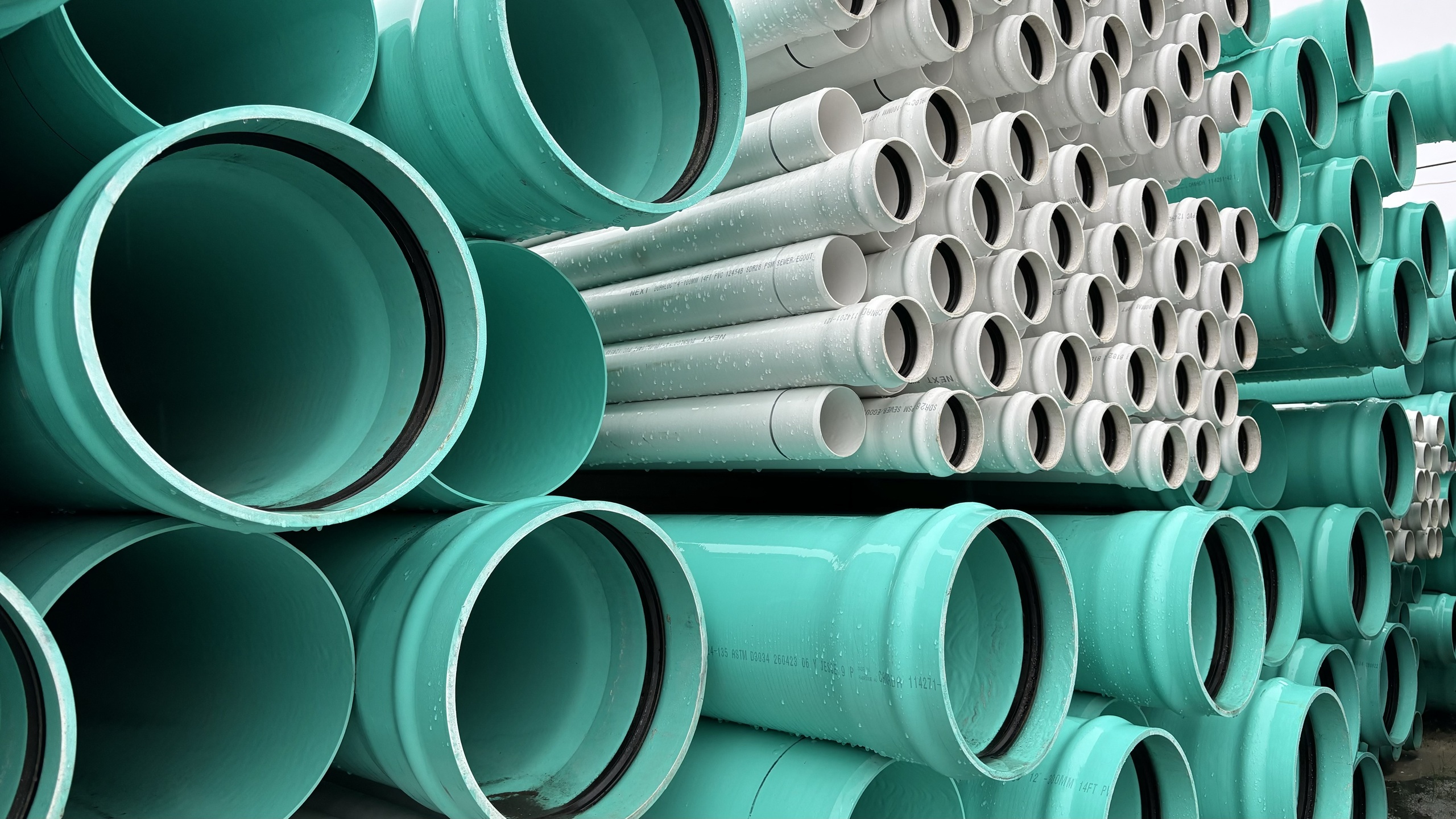 Photo 2023-11-07 2 03 13 p.m.